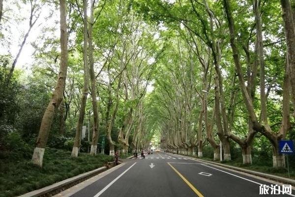 南京灵谷寺求什么灵验 南京灵谷寺求什么灵验