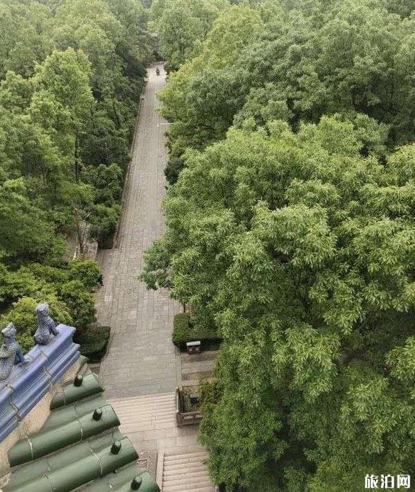 南京灵谷寺求什么灵验 南京灵谷寺求什么灵验