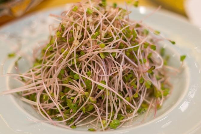 广元有哪些景点 好玩吗 广元有哪些景点 好玩吗