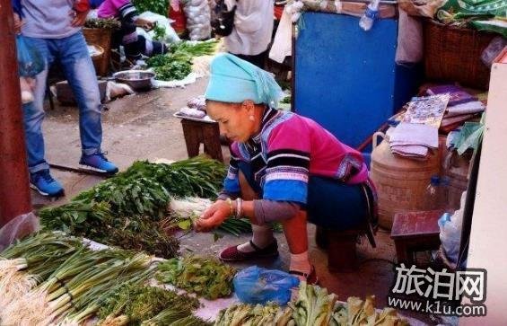 哀牢山马帮人家介绍 哀牢山马帮人家介绍
