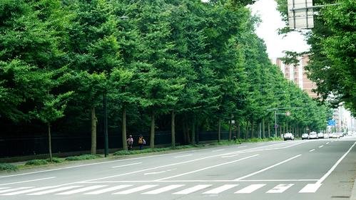 北海道旅游住宿攻略+交通攻略 北海道旅游住宿攻略+交通攻略