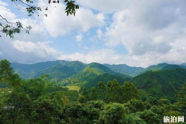 2023云浮大云雾山旅游区游玩攻略 - 门票价格 - 开放时间 - 交通 - 地址 - 天气 2023云浮大云雾山旅游区游玩攻略 - 门票价格 - 开放时间 - 交通 - 地址 - 天气