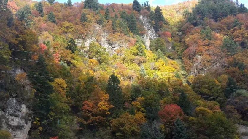 阿坝黑水县旅游攻略 阿坝黑水县旅游攻略