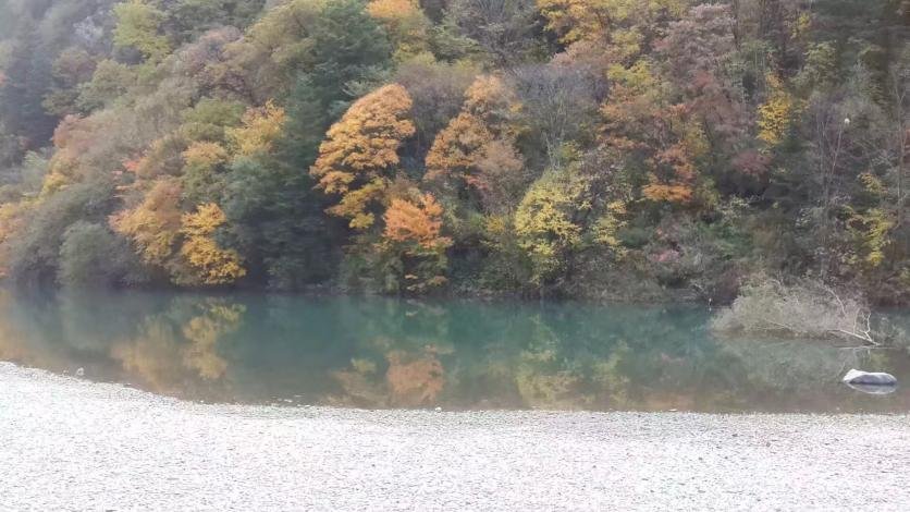 阿坝黑水县旅游攻略 阿坝黑水县旅游攻略