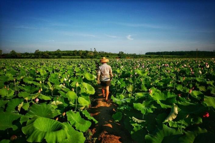 临高县有什么好玩的 临高县有哪些旅游景点 临高县有什么好玩的 临高县有哪些旅游景点