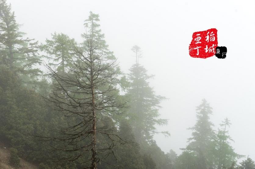 稻城亚丁有什么好玩的 稻城亚丁旅游攻略2017 稻城亚丁有什么好玩的 稻城亚丁旅游攻略2017