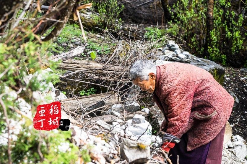 稻城亚丁有什么好玩的 稻城亚丁旅游攻略2017 稻城亚丁有什么好玩的 稻城亚丁旅游攻略2017