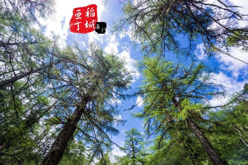 稻城亚丁有什么好玩的 稻城亚丁旅游攻略2017 稻城亚丁有什么好玩的 稻城亚丁旅游攻略2017
