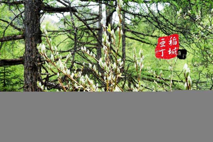 稻城亚丁有什么好玩的 稻城亚丁旅游攻略2017 稻城亚丁有什么好玩的 稻城亚丁旅游攻略2017