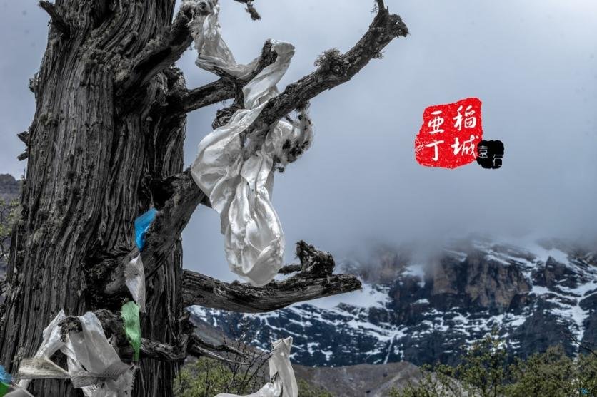 稻城亚丁有什么好玩的 稻城亚丁旅游攻略2017 稻城亚丁有什么好玩的 稻城亚丁旅游攻略2017