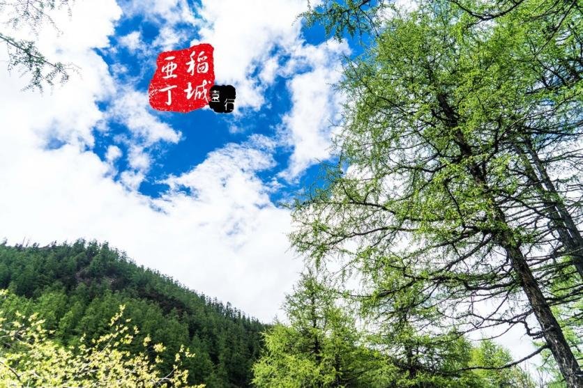 稻城亚丁有什么好玩的 稻城亚丁旅游攻略2017 稻城亚丁有什么好玩的 稻城亚丁旅游攻略2017
