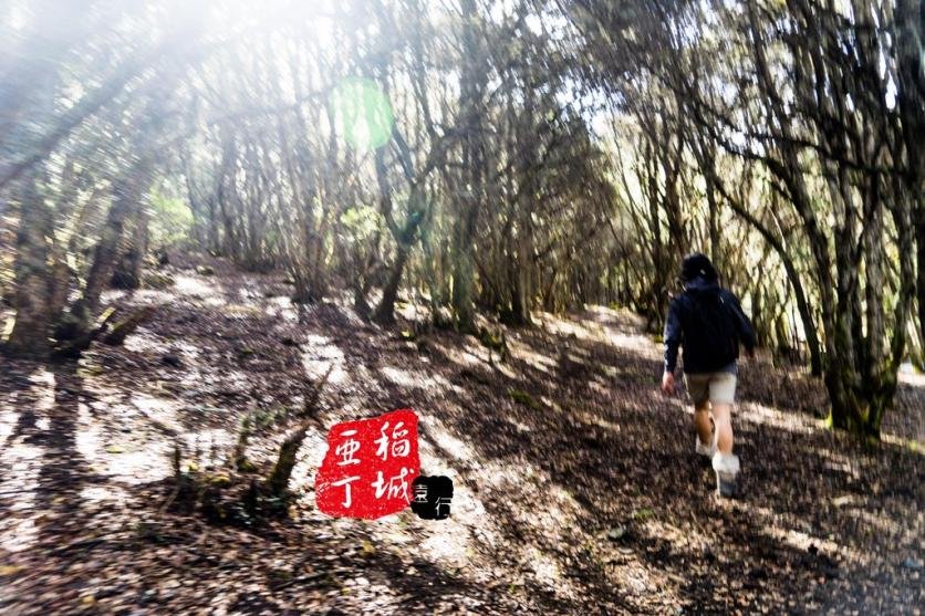 稻城亚丁有什么好玩的 稻城亚丁旅游攻略2017 稻城亚丁有什么好玩的 稻城亚丁旅游攻略2017