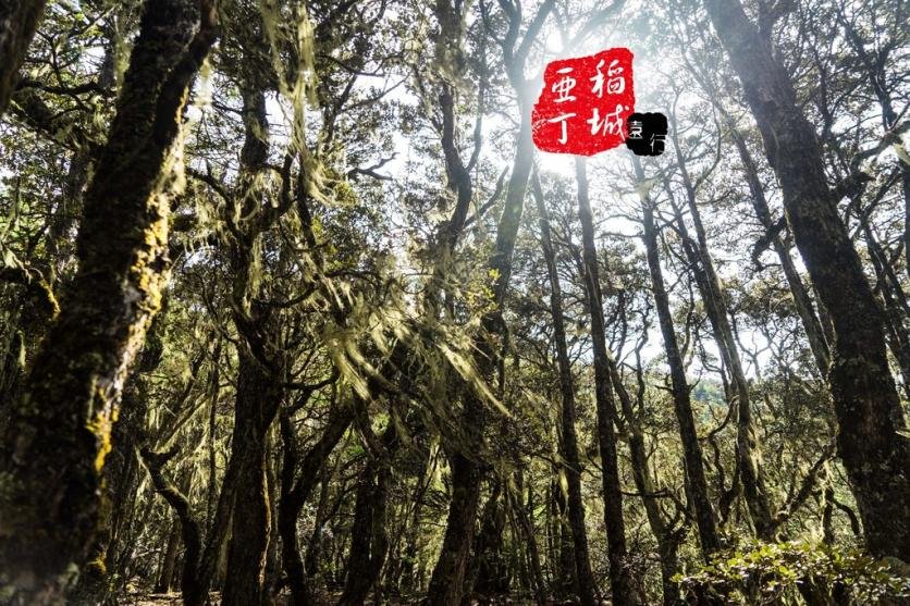 稻城亚丁有什么好玩的 稻城亚丁旅游攻略2017 稻城亚丁有什么好玩的 稻城亚丁旅游攻略2017