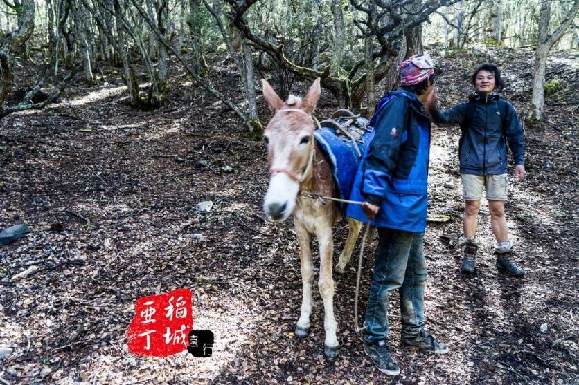 稻城亚丁有什么好玩的 稻城亚丁旅游攻略2017 稻城亚丁有什么好玩的 稻城亚丁旅游攻略2017