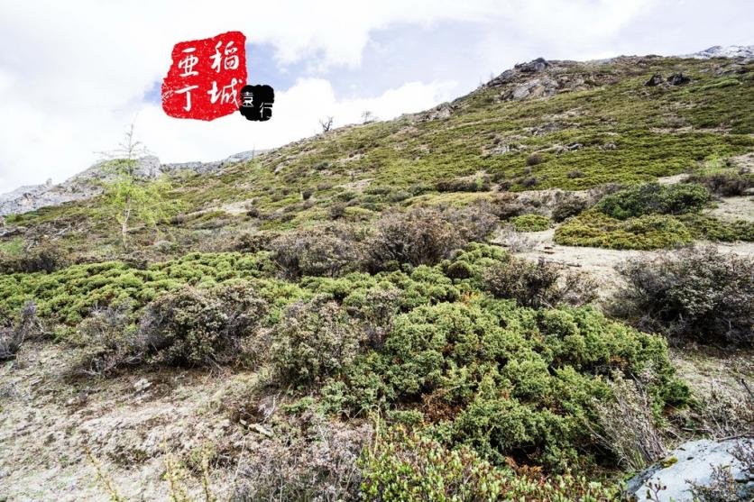 稻城亚丁有什么好玩的 稻城亚丁旅游攻略2017 稻城亚丁有什么好玩的 稻城亚丁旅游攻略2017
