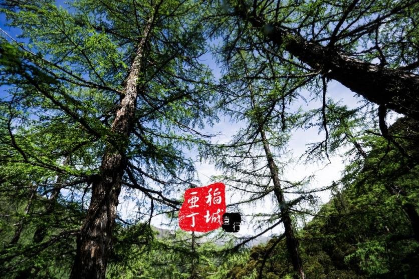稻城亚丁有什么好玩的 稻城亚丁旅游攻略2017 稻城亚丁有什么好玩的 稻城亚丁旅游攻略2017