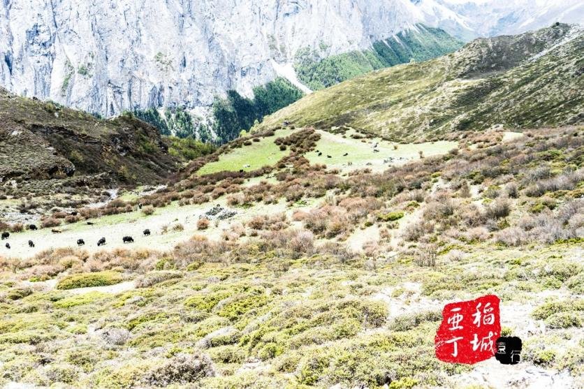稻城亚丁有什么好玩的 稻城亚丁旅游攻略2017 稻城亚丁有什么好玩的 稻城亚丁旅游攻略2017