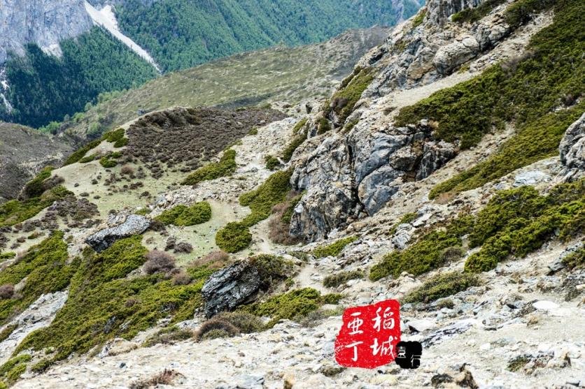 稻城亚丁有什么好玩的 稻城亚丁旅游攻略2017 稻城亚丁有什么好玩的 稻城亚丁旅游攻略2017