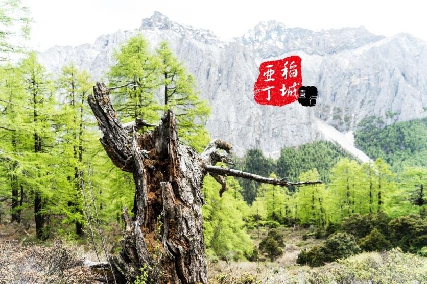 稻城亚丁有什么好玩的 稻城亚丁旅游攻略2017 稻城亚丁有什么好玩的 稻城亚丁旅游攻略2017
