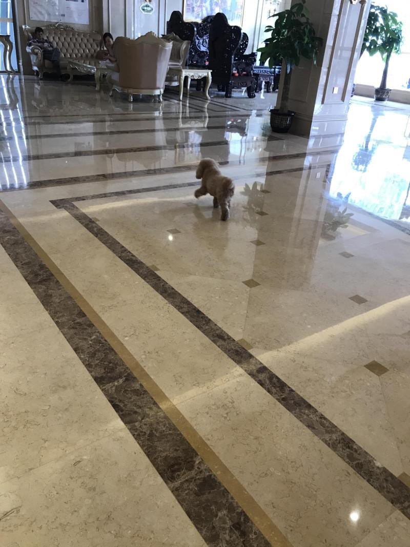 柳州自驾游攻略 柳州有什么好玩的 柳州自驾游攻略 柳州有什么好玩的
