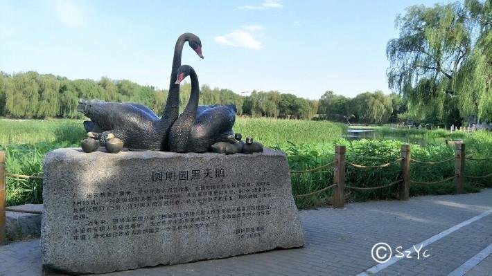 北京有哪些好玩的地方 北京有什么值得去的地方 北京有哪些好玩的地方 北京有什么值得去的地方