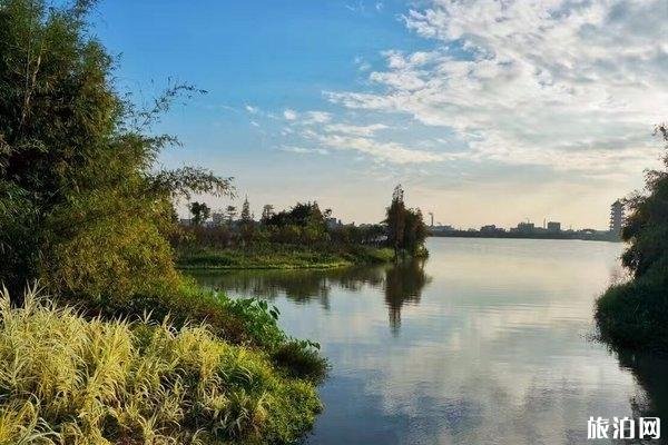 2024华阳湖湿地公园游玩攻略-门票价格-景点信息 2024华阳湖湿地公园游玩攻略-门票价格-景点信息