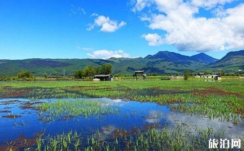 拉市海怎么去 拉市海游玩攻略 拉市海怎么去 拉市海游玩攻略