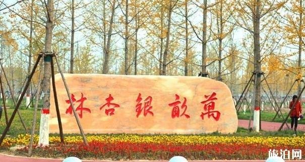 北京周边五一去哪玩比较好 北京周边五一去哪玩比较好
