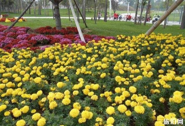 北京周边五一去哪玩比较好 北京周边五一去哪玩比较好