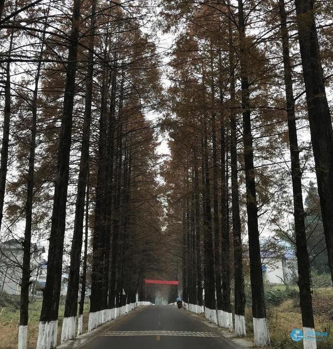 2018年恩施自驾游攻略 2018年恩施自驾游攻略